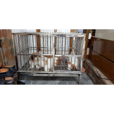 Chuồng chó Inox Juno Sofa KT (60 x 1m x 70cm) Không có mái che 