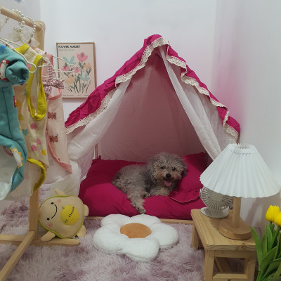 Lều ngủ cho thú cưng