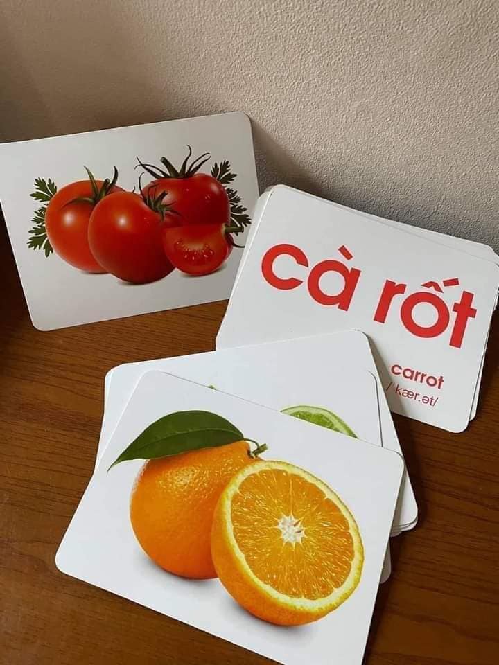 Bộ 100 Thẻ Học Thông Minh Cho Bé, Flashcard Song Ngữ Cho Bé Với 14 Chủ Đề Thế Giới Xunh Quanh Khổ A5 21x15cm