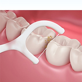 Tăm Chỉ Nha Khoa Tiệt Trùng Vệ Sinh Chăm Sóc Răng Miệng