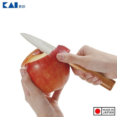 Dao Gọt Hoa Quả Kai KHS Fruit Knife DH7173