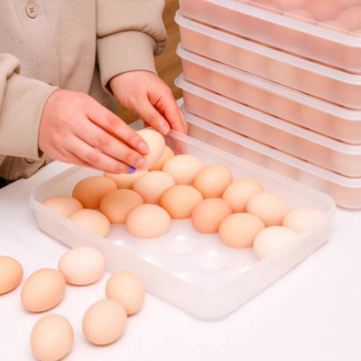 Khay đựng trứng có nắp đậy 24 quả 