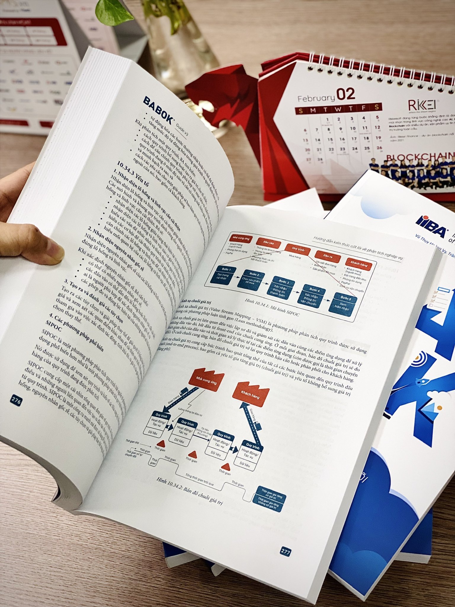 Combo sách dành cho BA: Sách BABOK v3 - phiên bản tiếng Việt & Sổ tay Business Analyst