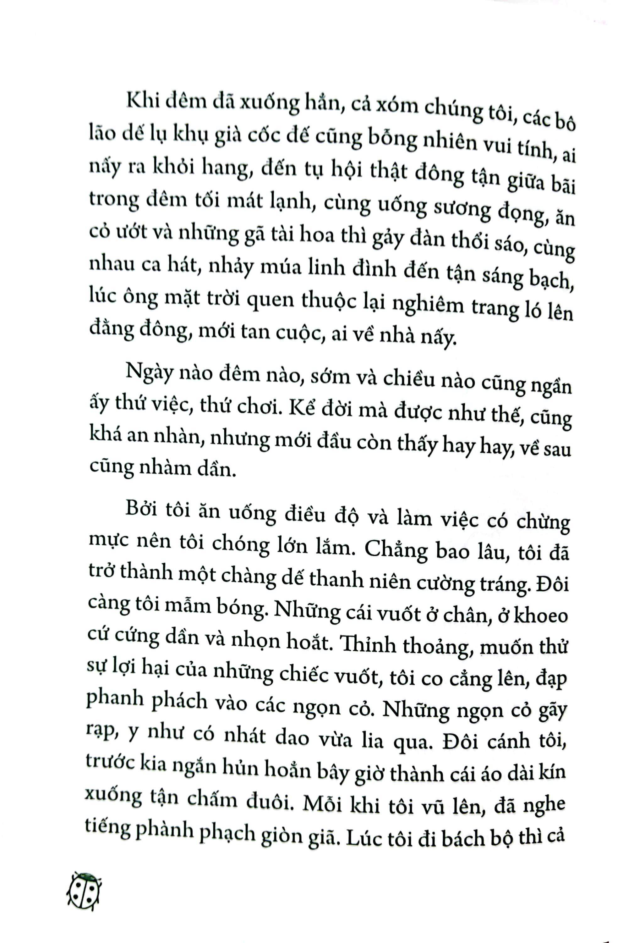 Dế Mèn Phiêu Lưu Ký – Ngô Xuân Khôi Minh Họa - Ấn Bản Kỉ Niệm 100 Năm Tô Hoài