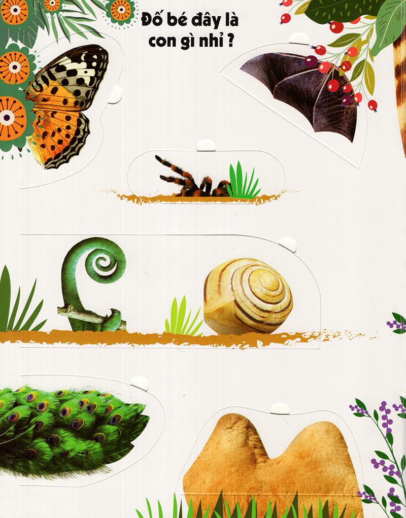 Sách Tương Tác - Lift-The-Flap - Lật Mở Khám Phá: First 100 Animals - 100 Từ Đầu Tiên Về Các Loài Động Vật (Tái Bản 2018)