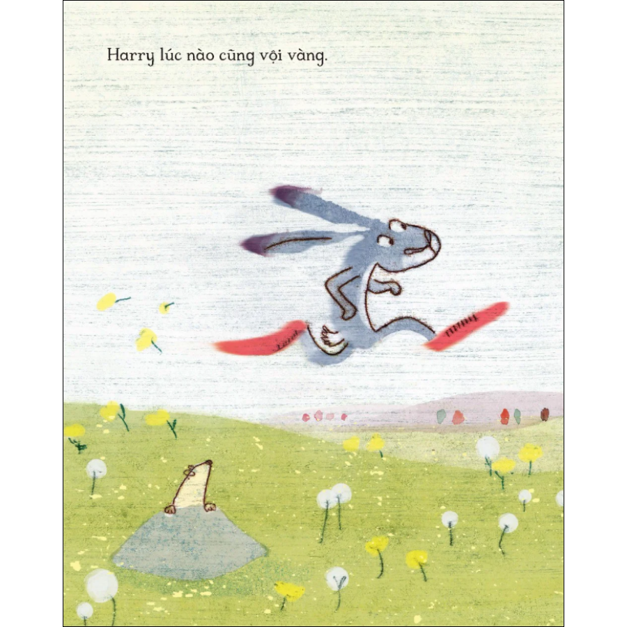 Thỏ Harry Hấp Tấp