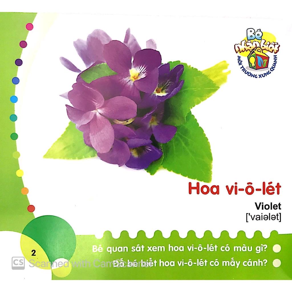 Bé Nhận Biết Môi Trường Xung Quanh - Hoa - Bản Quyền