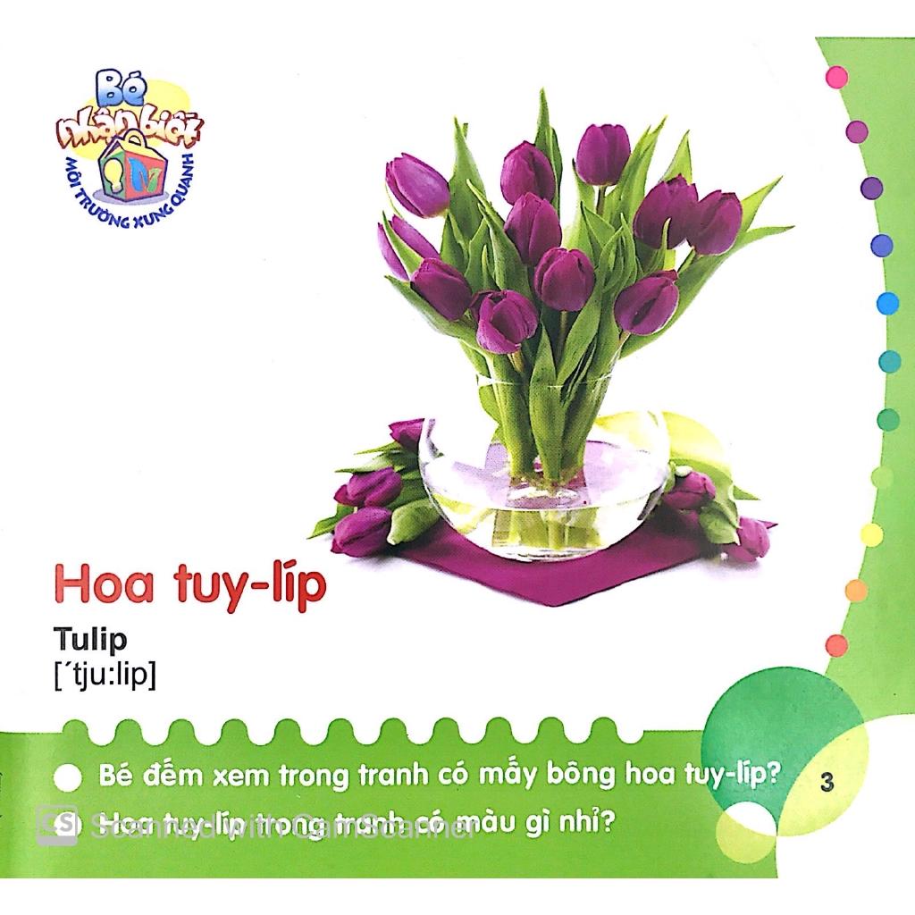 Bé Nhận Biết Môi Trường Xung Quanh - Hoa - Bản Quyền