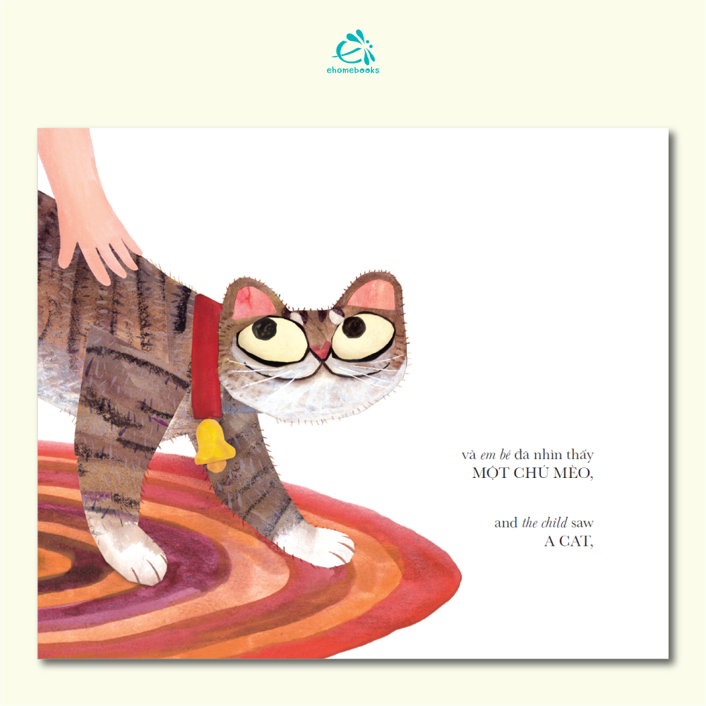 Ai cũng nhìn thấy chú mèo