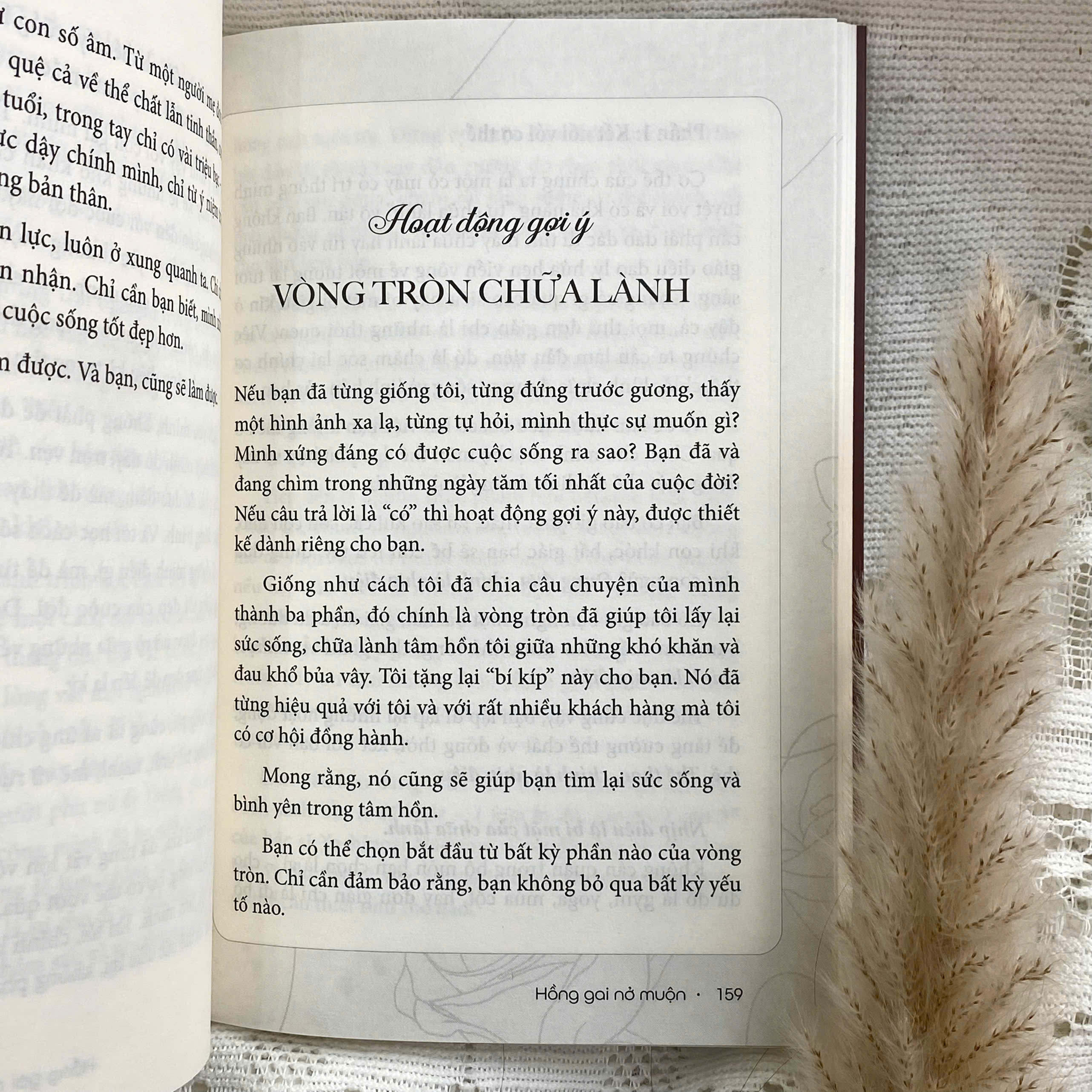 Sách - Hồng gai nở muộn
