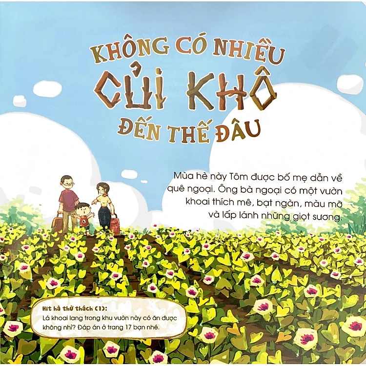 Hít Hà Mùi Đất Nước - Không Có Nhiều Củi Khô Đến Thế Đâu