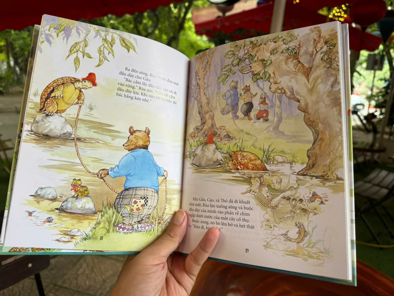 (Combo 2 Cuốn, Bìa Cứng, In Màu) TRUYỆN VỀ CHÚ THỎ MƯU MẸO, GIÓ VỜN TRONG LIỄU - NXB Kim Đồng