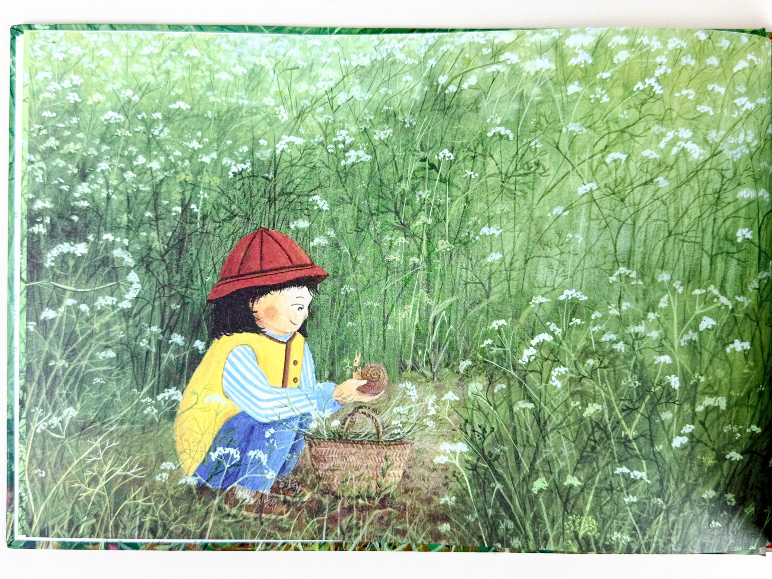 Sách - Xuân mời mặt đất nở hoa - (In màu/bìa cứng)