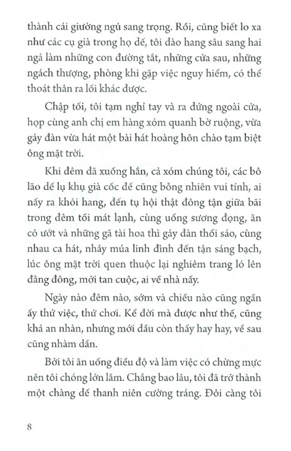 Dế Mèn Phiêu Lưu Ký – Thành Chương Minh Họa - Ấn Bản Kỉ Niệm 100 Năm Tô Hoài