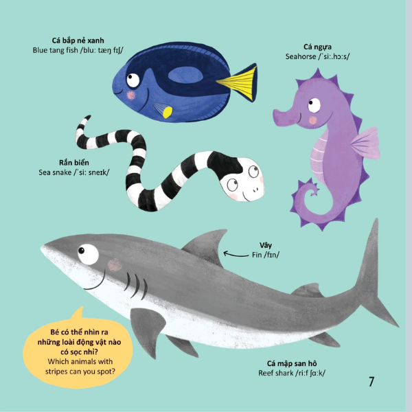 Thư Viện Từ Vựng Đầu Đời Cho Bé - Động Vật Dưới Biển - Under The Sea!