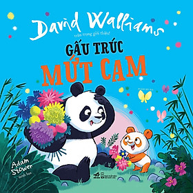 Gấu trúc mứt cam - Bản Quyền