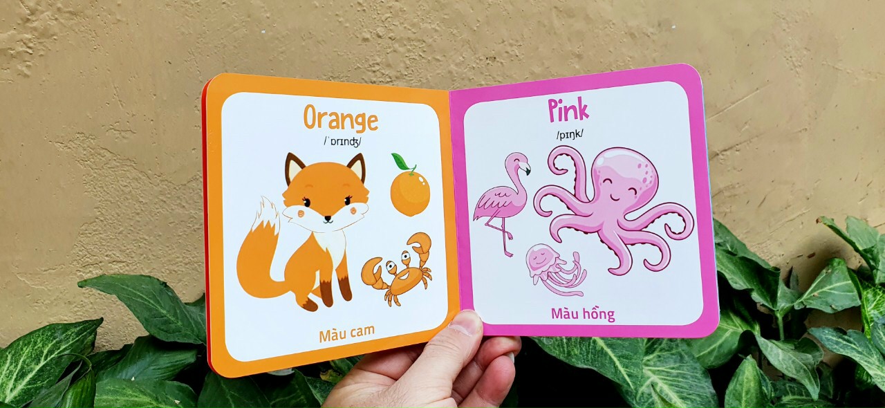 Từ điển hình ảnh đầu tiên cho bé khám phá thế giới (10 cuốn) - My first picture book