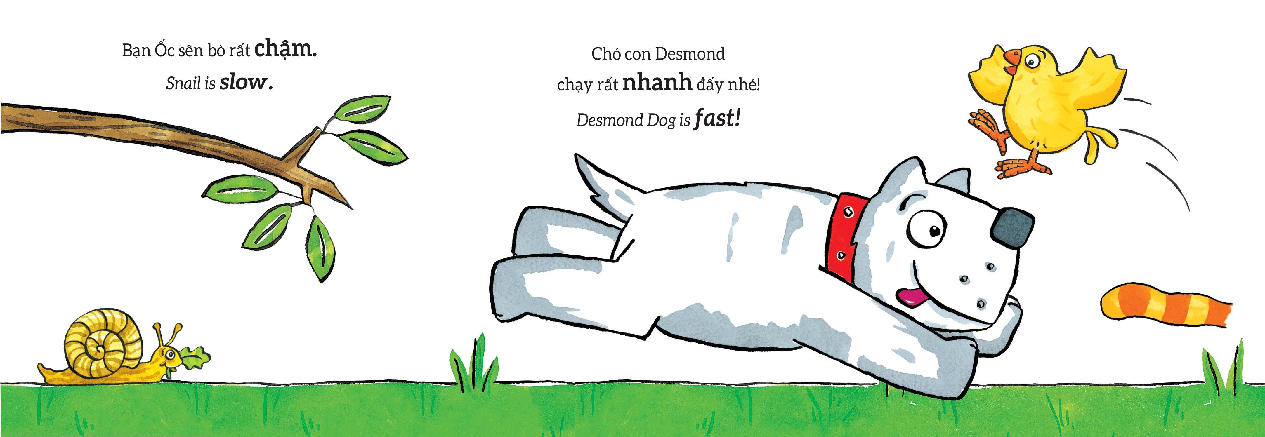 Tương Tác Lật Mở - Các Từ Trái Nghĩa - Opposites