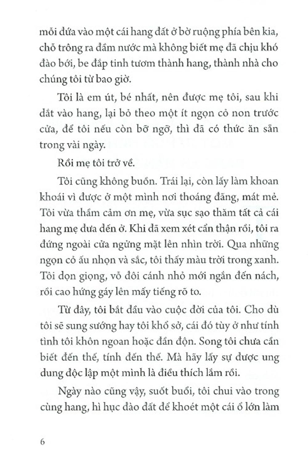 Dế Mèn Phiêu Lưu Ký – Thành Chương Minh Họa - Ấn Bản Kỉ Niệm 100 Năm Tô Hoài