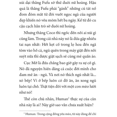 Những Con Mèo Sau Bức Tường Hoa