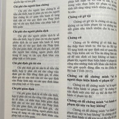 Từ Điển Pháp Luật Việt Nam 