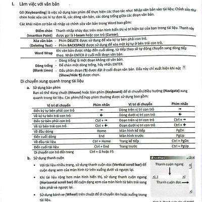 Microsoft Word 2019 (Tái Bản 2024)