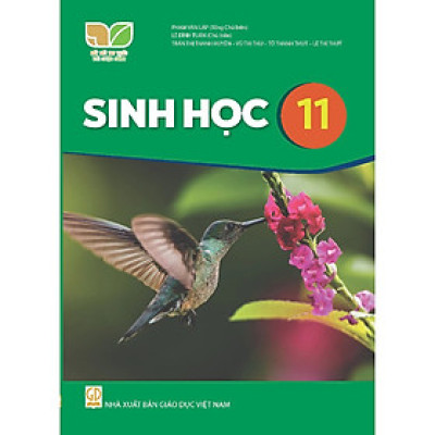 Sách Giáo Khoa Sinh Học 11 - Kết Nối Tri Thức Với Cuộc Sống - GD
