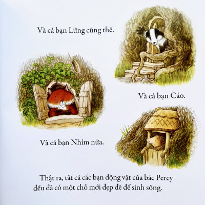 Bộ Sách - Gieo Mầm Yêu Thương - Bộ 4 cuốn