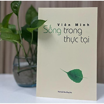 Sách - Sống Trong Thực Tại (Viên Minh)