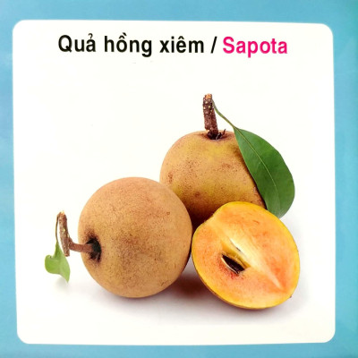 Từ Điển Hình Ảnh Cho Bé - Trái Cây