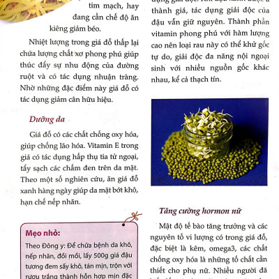 Người Nội Trợ Thông Minh - Món Ngon Bổ Dưỡng Cho Phái Đẹp