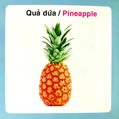 Từ Điển Hình Ảnh Cho Bé - Trái Cây