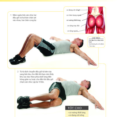 Khỏe Đẹp Với Các Bài Tập Cơ Bản