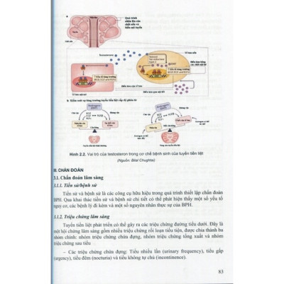 Bệnh học nam học và y học giới tính tập 1