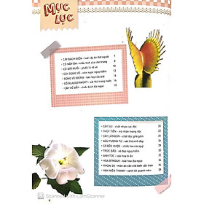 Thực Vật Thần Kỳ