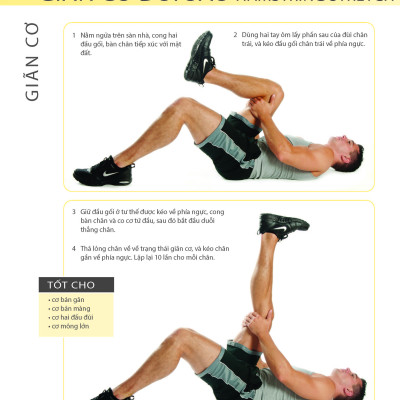 Khỏe Đẹp Với Các Bài Tập Cơ Bản