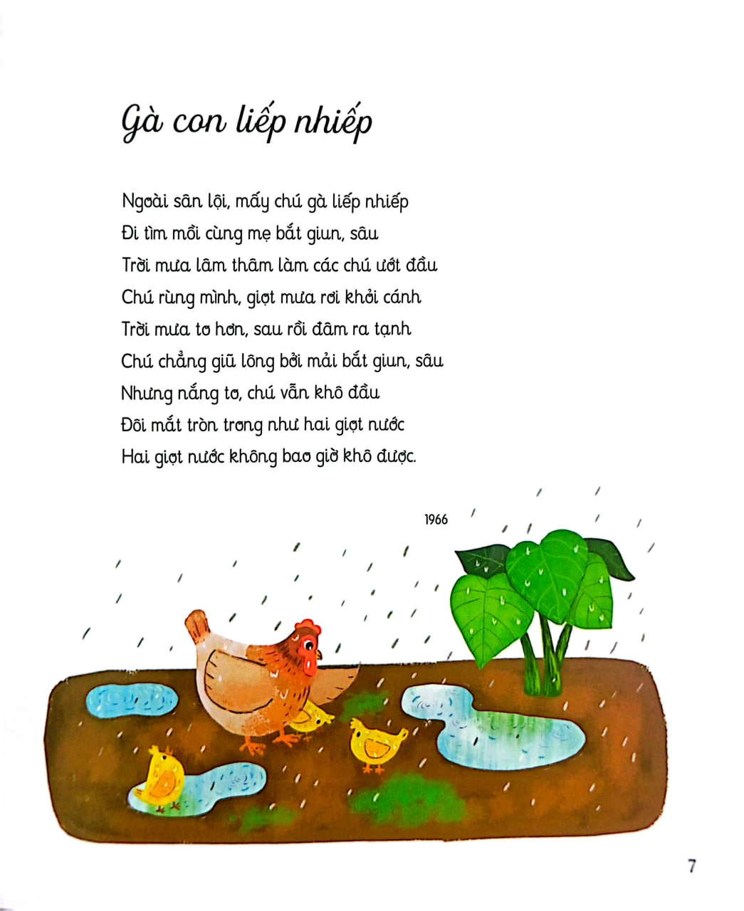 Góc Sân Và Khoảng Trời