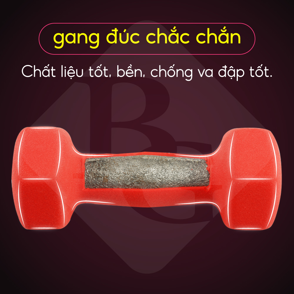 BG Bộ 2 Tạ tay 304 - 314 cao cấp 2Kg Thái Lan (hàng nhập khẩu)