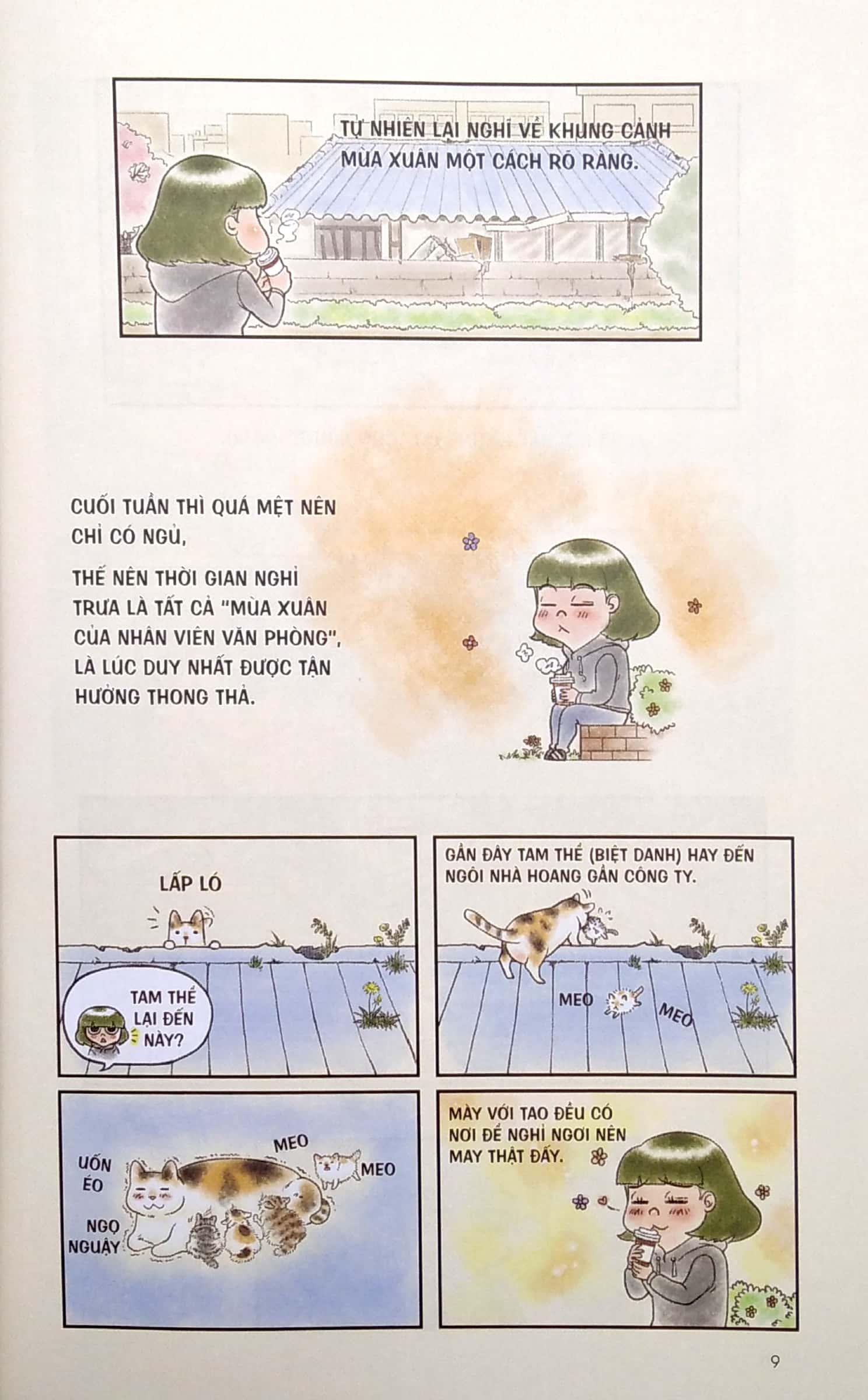 Chú Mèo Rụng Lông Không Có Điểm Dừng
