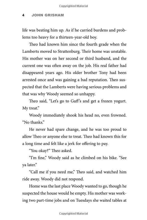 Theodore Boone: The Accomplice