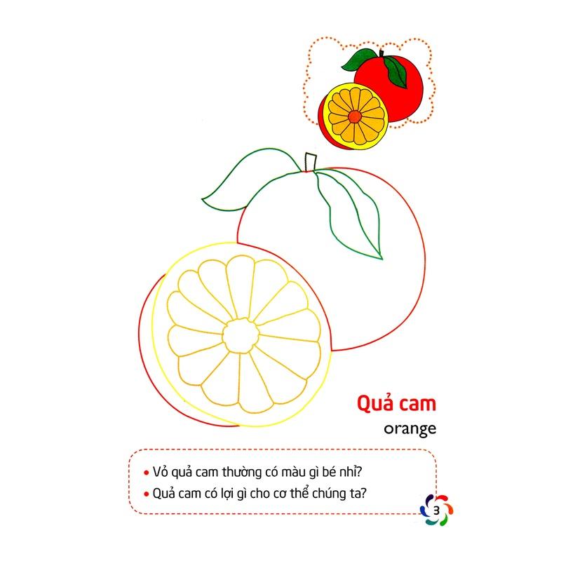 Bé Tập Tô Màu Và Nhận Biết Thế Giới Xung Quanh - Các Loại Quả - Bản Quyền