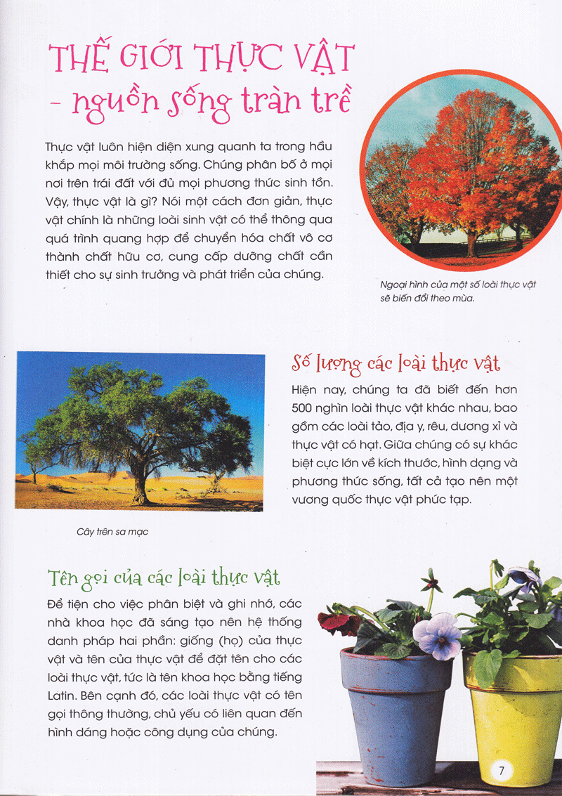 Thiên Nhiên- Những Bí Mật Còn Ẩn Giấu - Gia Đình Thực Vật - 2HBooks
