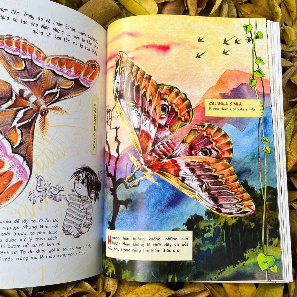 Sách - Bộ Sinh vật học kỳ thú - Những cư dân tí hon của rừng Việt Nam (Trọn bộ 02 cuốn)