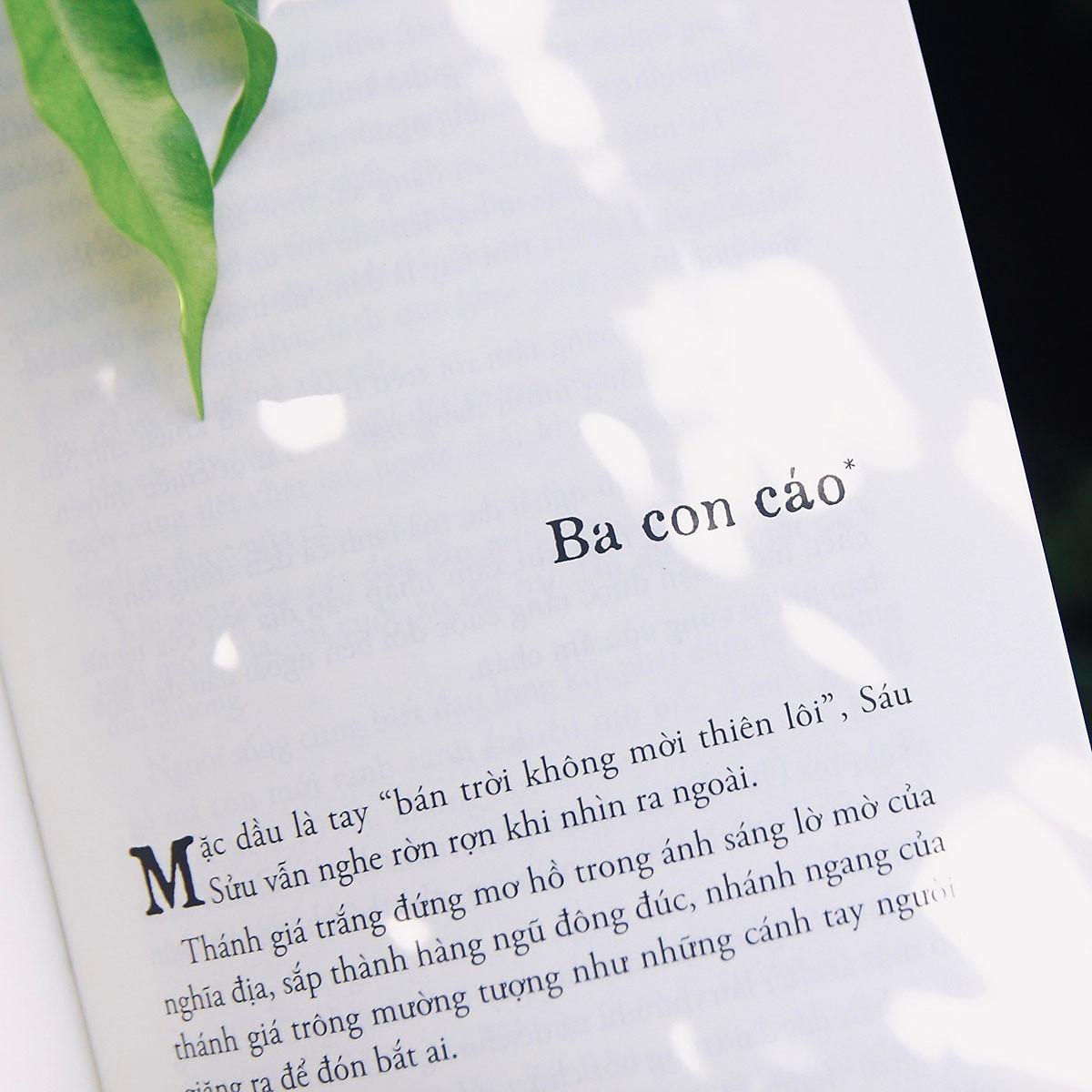 Bình Nguyên Lộc. Rừng mắm -NXB Trẻ