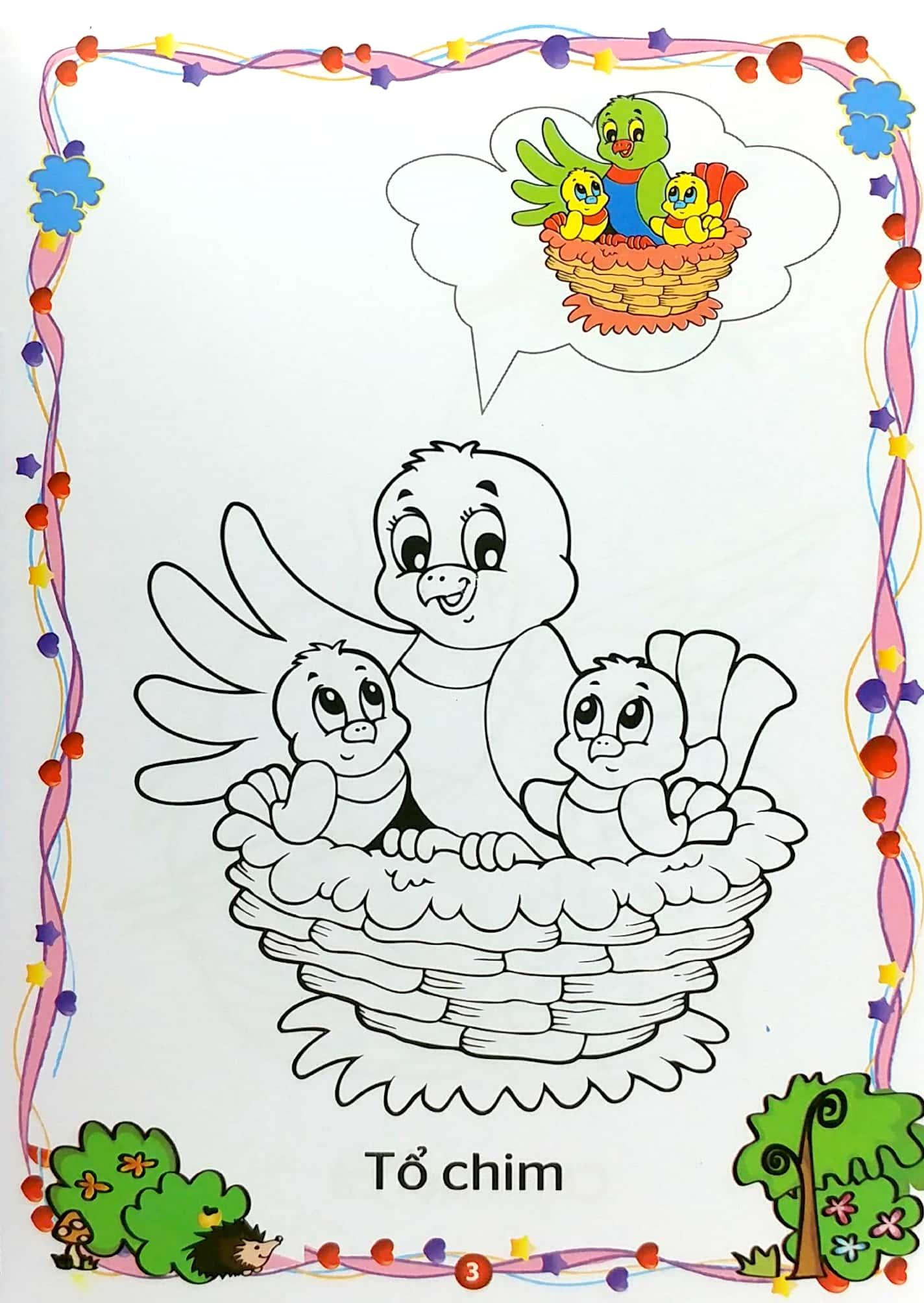 Bé Yêu Tô Màu - Thế Giới Loài Chim