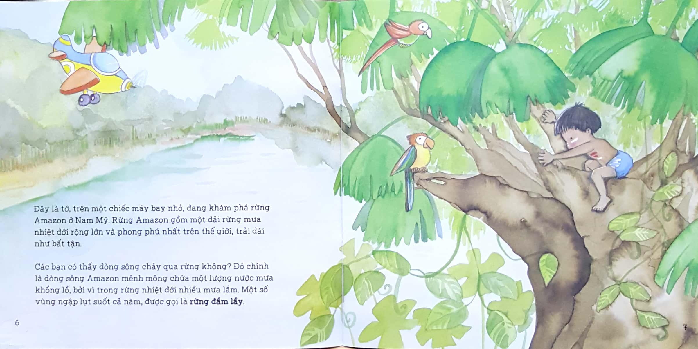 Bảo Vệ Những Cánh Rừng