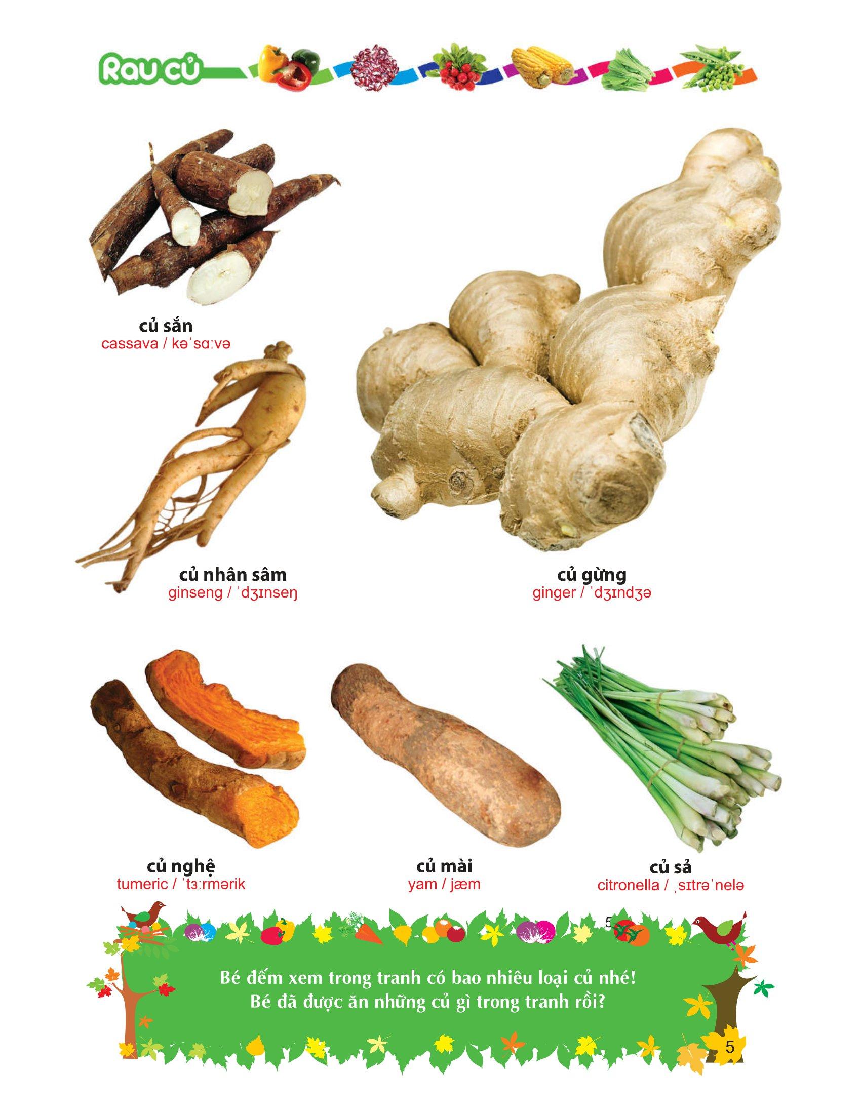 Từ Điển Tranh Về Rau - Củ - Quả - Hoa