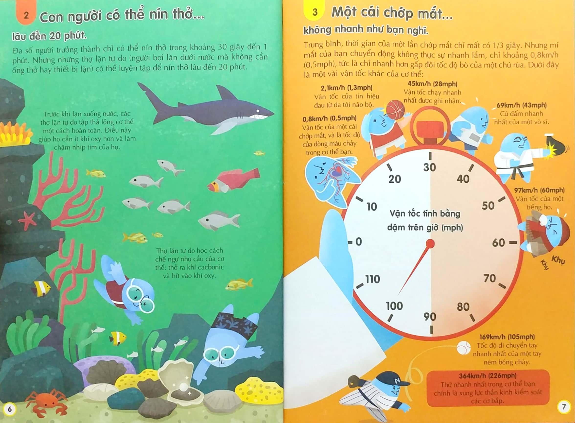100 Bí Ẩn Đáng Kinh Ngạc Về Cơ Thể Người (USBORNE - 100 Things To Know About The Human Body)