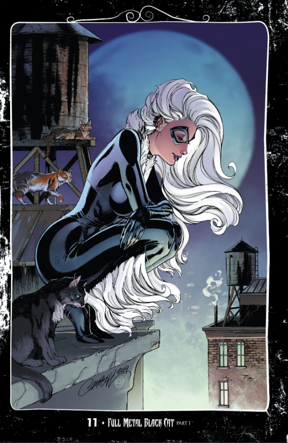 Black Cat Vol. 3