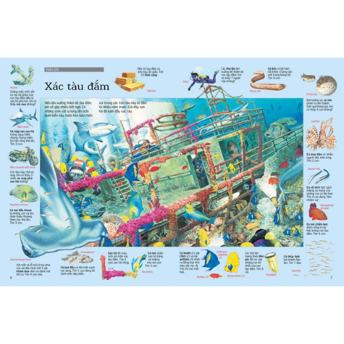 Thử tài tìm kiếm – Biển khơi